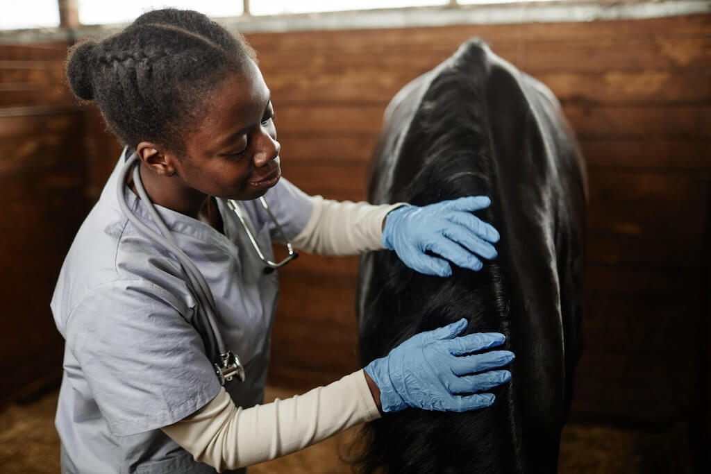 black-young-woman-as-veterinarian