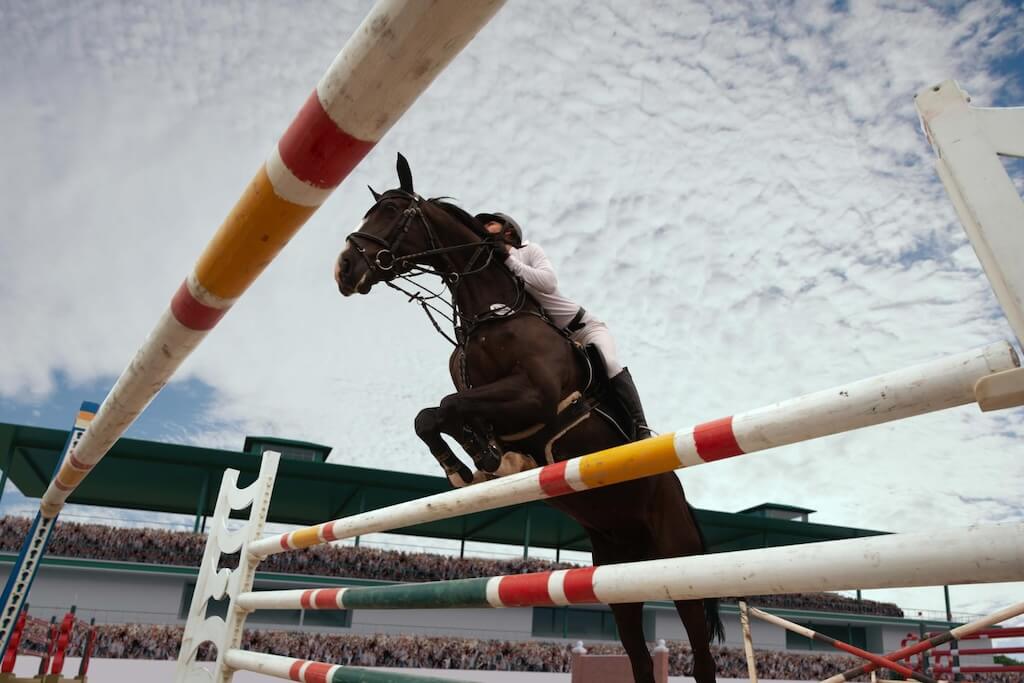 equestrian-sport-young-girl-rides-horse-championship(2)