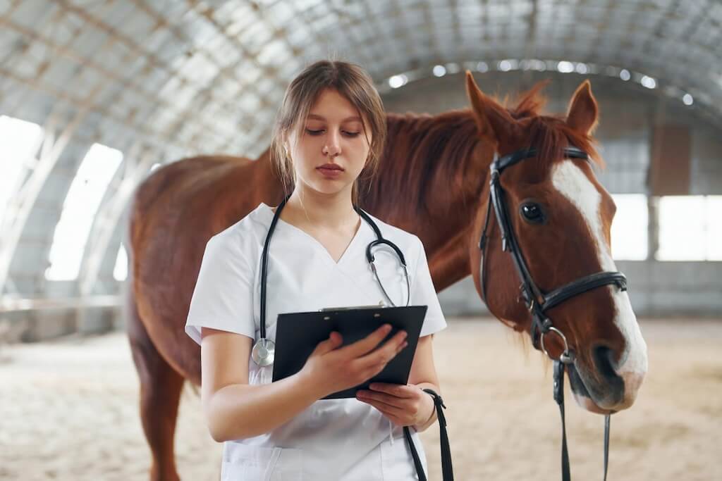 holding-notepad-hands-female-doctor-white-coat-is-with-horse-stable