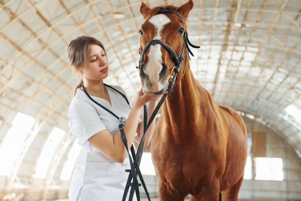 looking-mouth-teeth-female-doctor-white-coat-is-with-horse-stable