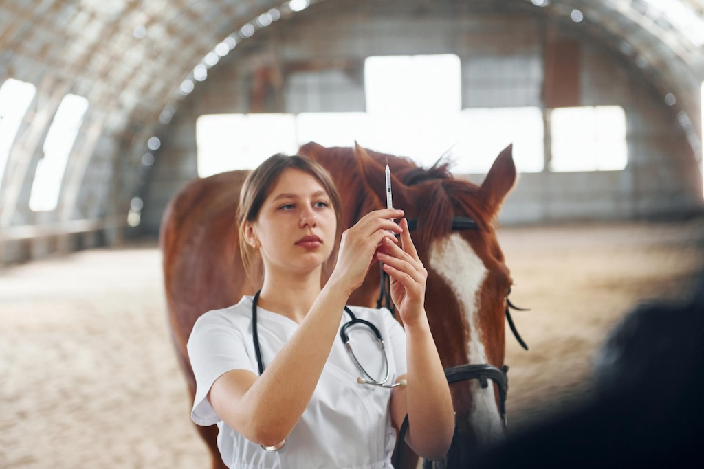 preparing-syringe-prick-female-doctor-white-coat-is-with-horse-stable