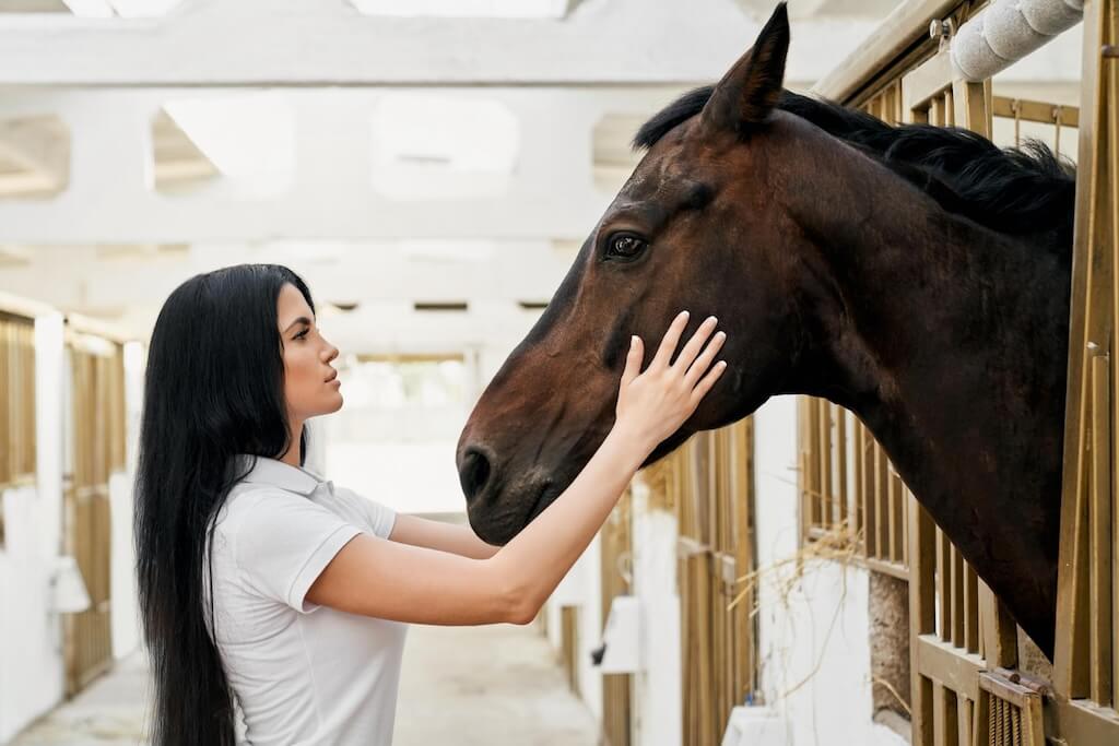 side-view-beautiful-woman-with-big-brown-horse-stable