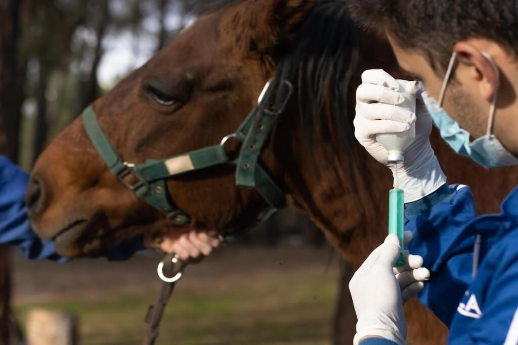 veterinarian-uniform-preparing-vaccine-farm-animal-vaccinate-horizontal-horse-head-background