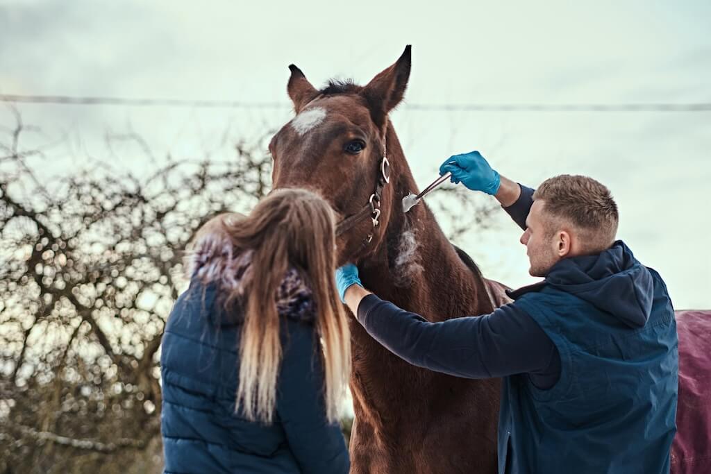 veterinary-man-with-his