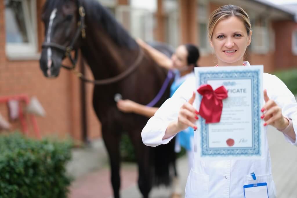 woman-veterinarian-is-holding-medical-certificate-background-horse-p-2000