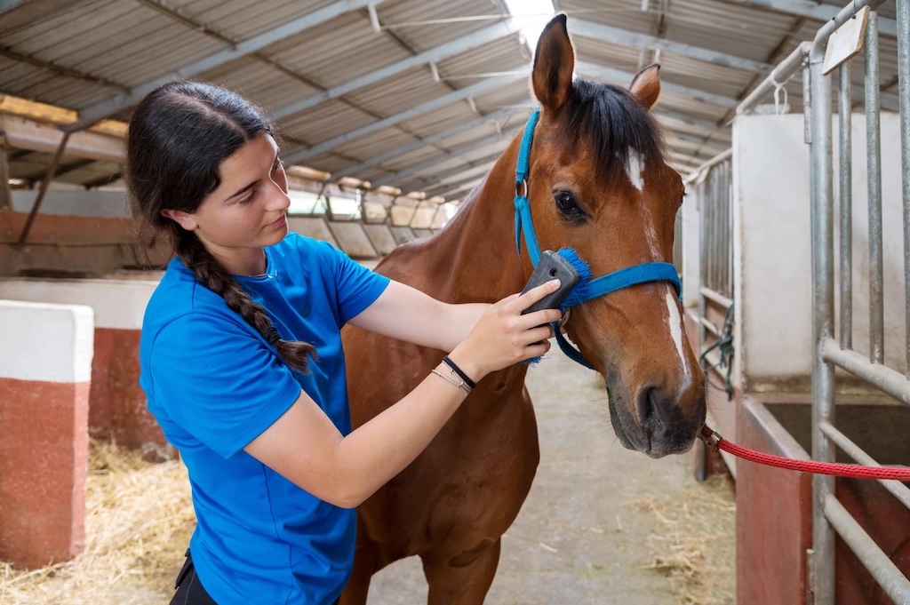 young-ethnic-woman-brushing-horse-barn